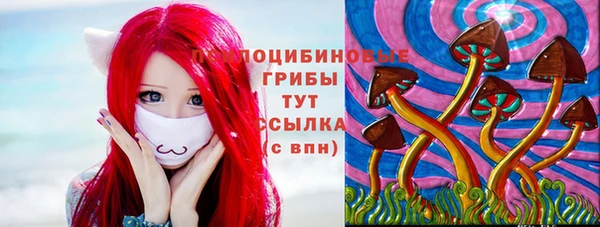 прущий лед Балахна