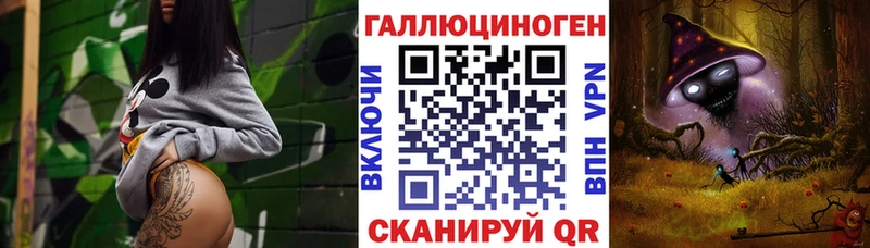 Псилоцибиновые грибы Cubensis продажа наркотиков Горно-Алтайск